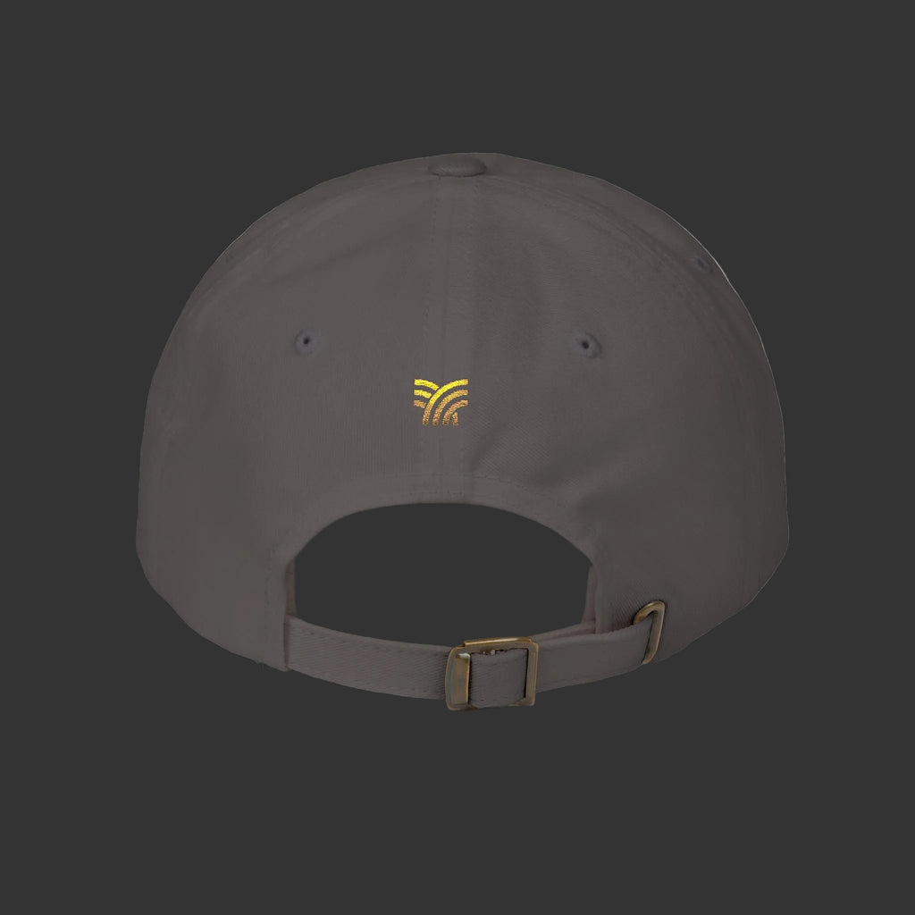 Gray cap with flavored and blessed logo back of grey baseball hat